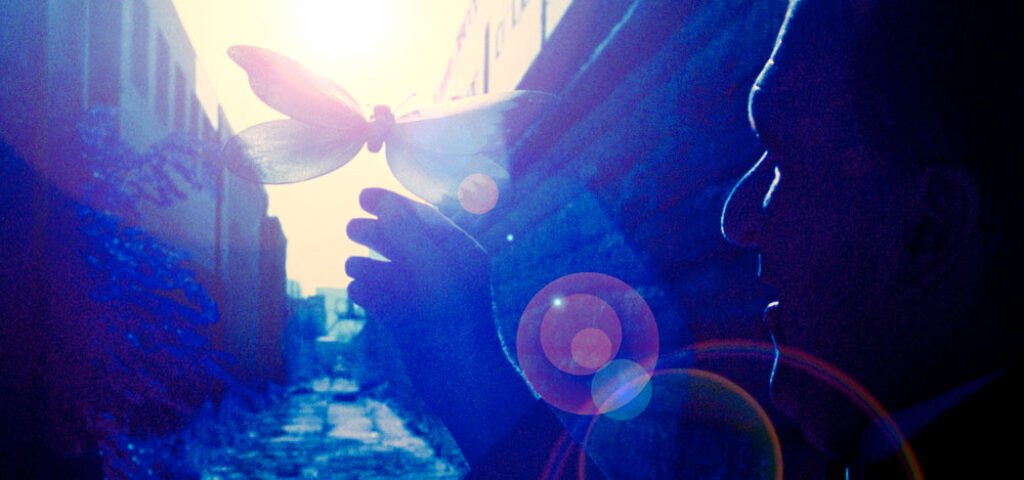 Butterfly Party